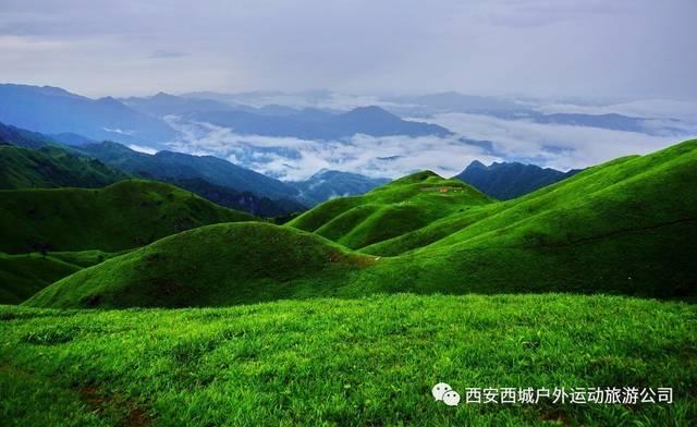 机智问答网页—调休上班你会比平时更没积极性、效率更低吗?快速解答各类问题